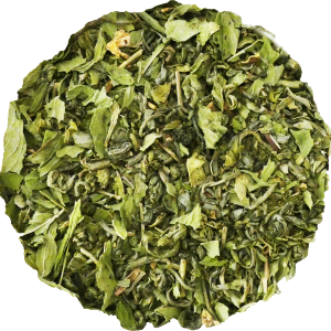 Fresca Energia