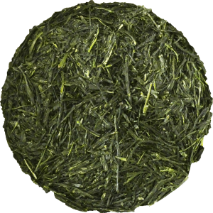 Gyokuro Dharma