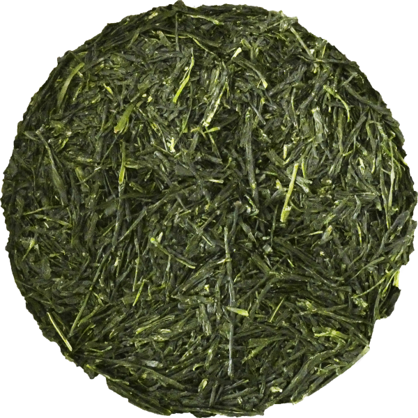Gyokuro Dharma