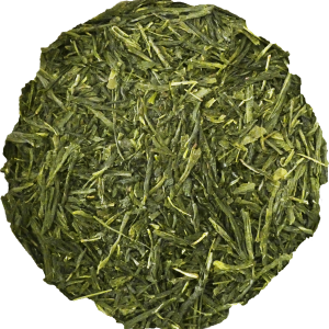 Sencha