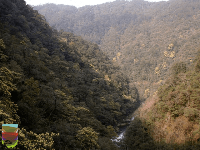 OOLONG O WULONG