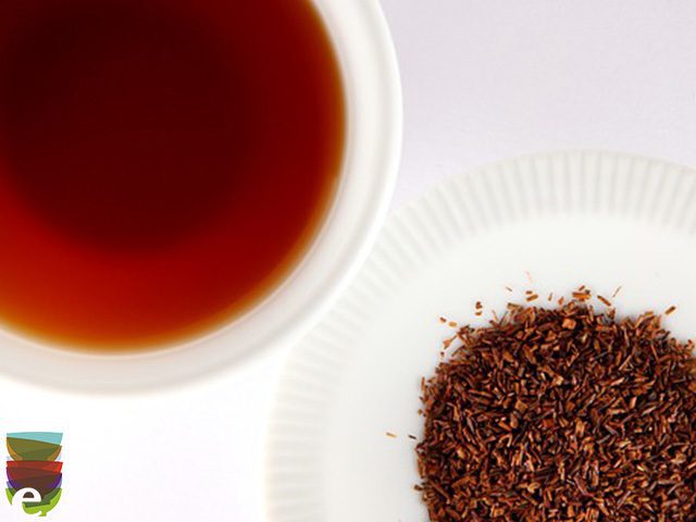 tè rooibos