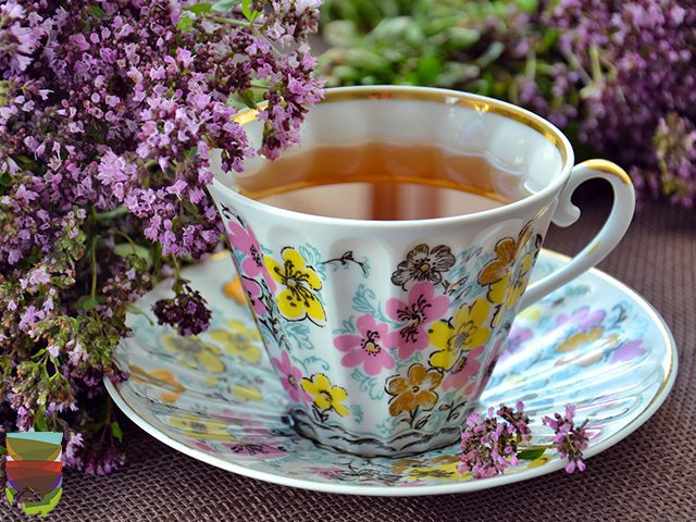 Al momento stai visualizzando I benefici delle tisane