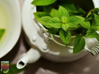 I benefici del tè alla menta marocchino