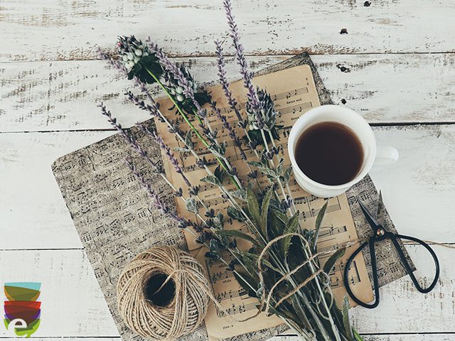 Al momento stai visualizzando Benefici della tisana alla lavanda