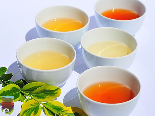 Scopri di più sull'articolo Darjeeling aspettando i nuovi raccolti