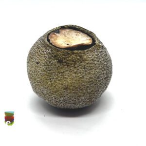 Pu’er mandarin